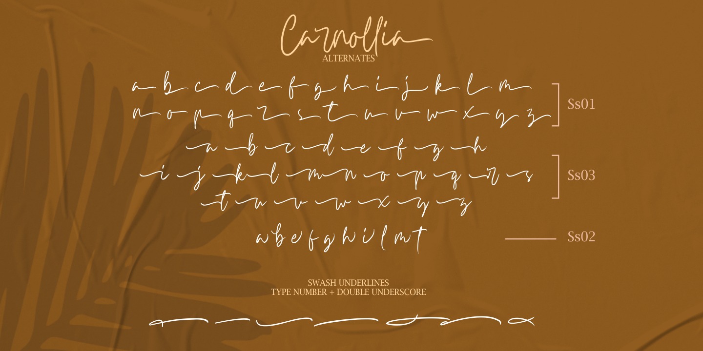 Carnollia Signature